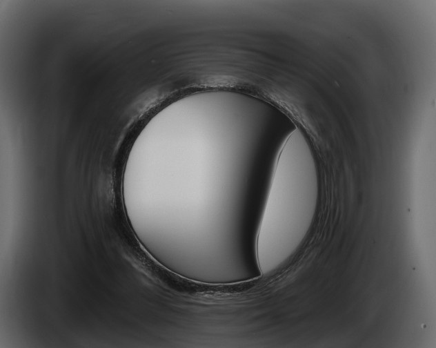 X0000085020300200703050943