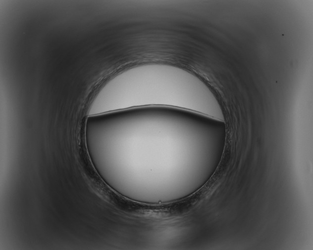 X0000085020303200703050943