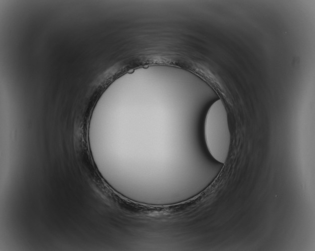X0000085020306200703050943