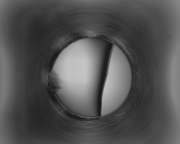 X0000085020307200703050943