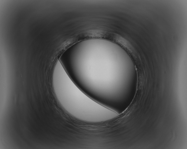 X0000085020309200703050943
