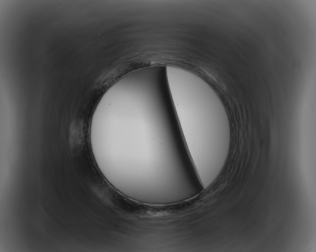 X0000085020311200703050943