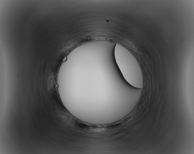 X0000085020318200703050943