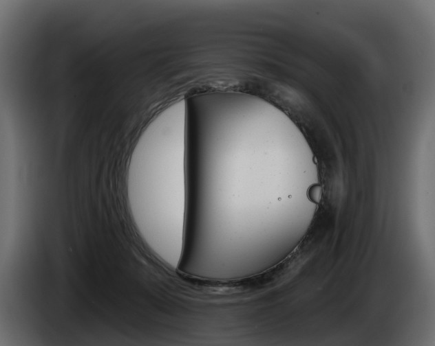 X0000085020319200703050943