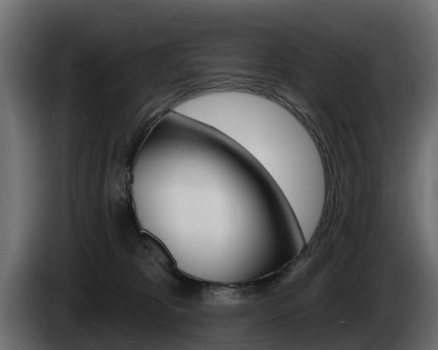 X0000085020325200703050943