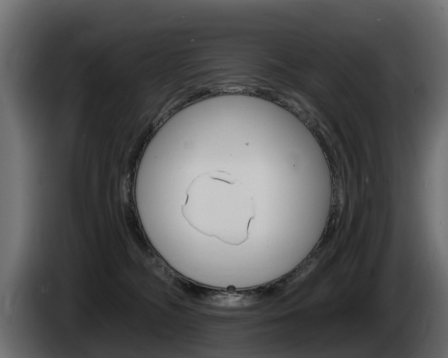 X0000085020326200703050943