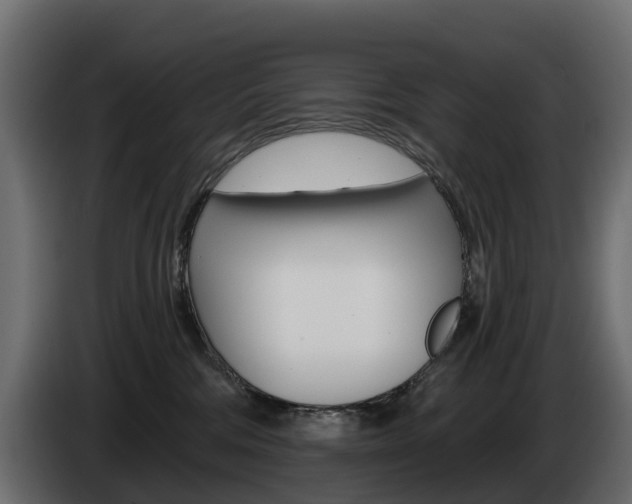 X0000085020330200703050943
