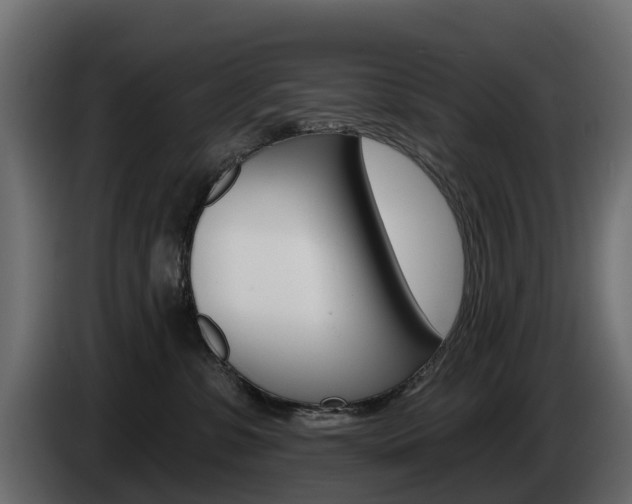 X0000085020331200703050943