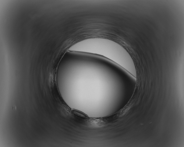 X0000085020333200703050943