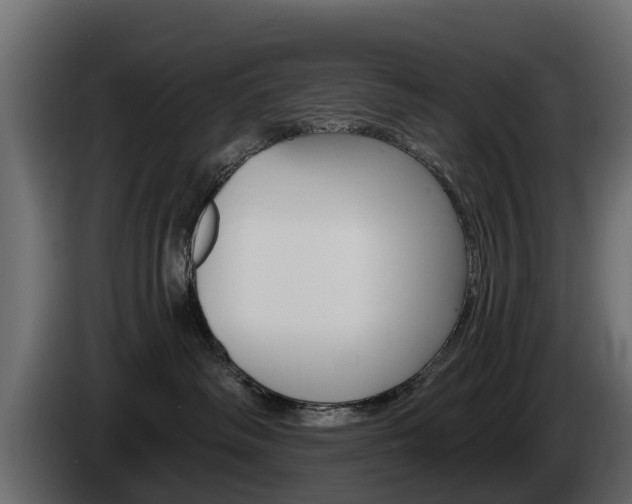 X0000085020334200703050943