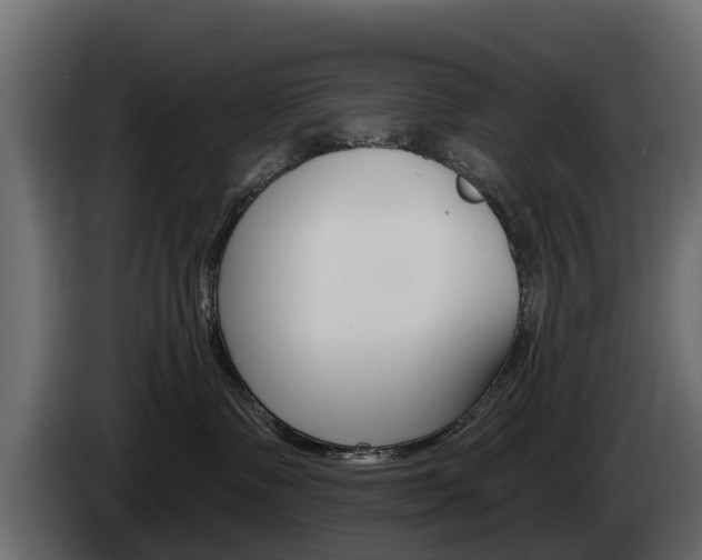 X0000085020335200703050943