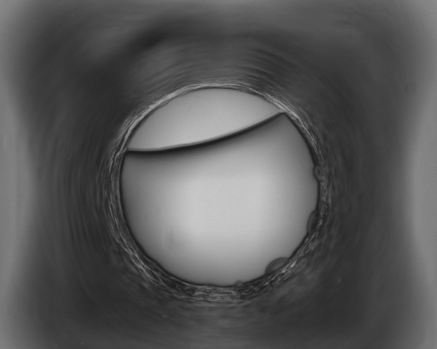 X0000085020337200703050942
