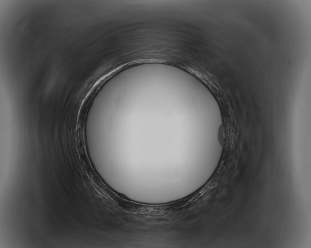 X0000085020338200703050942