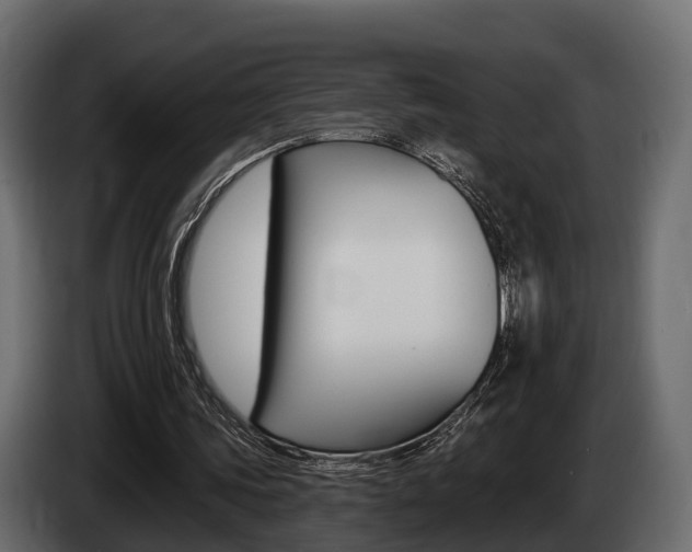 X0000085020339200703050942