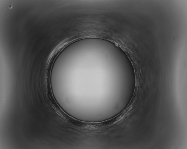 X0000085020341200703050942