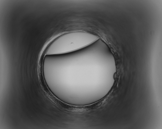X0000085020342200703050942