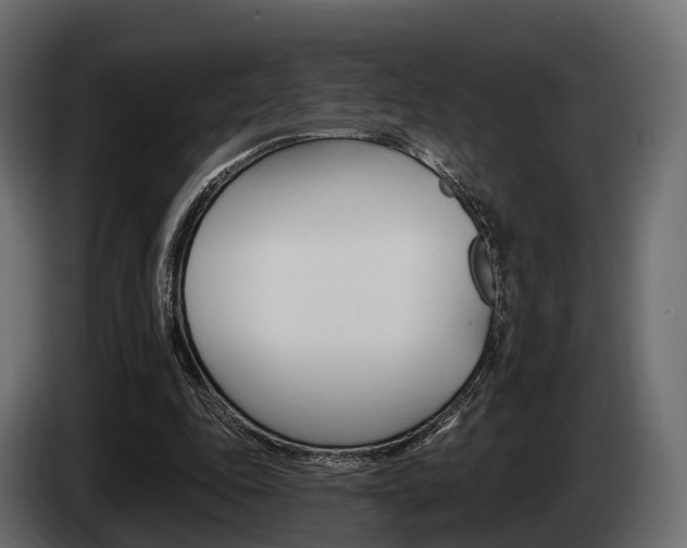 X0000085020343200703050942