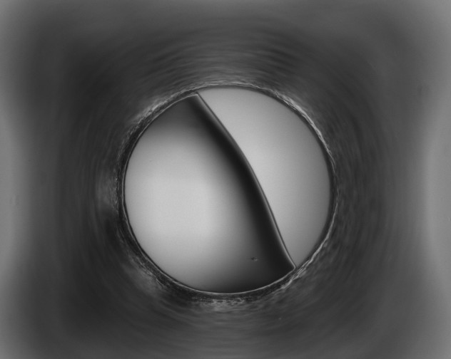 X0000085020345200703050942