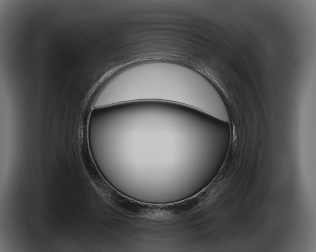 X0000085020348200703050942