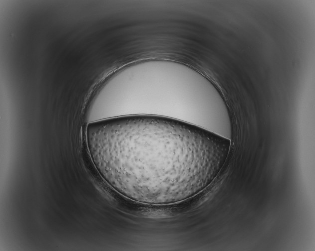 X0000085020349200703050942
