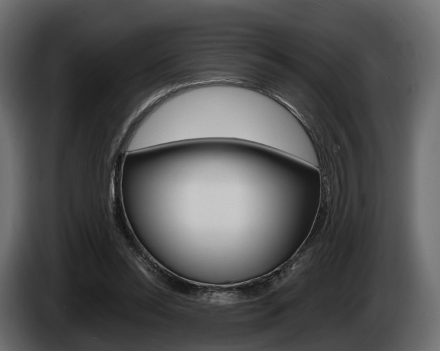 X0000085020350200703050942