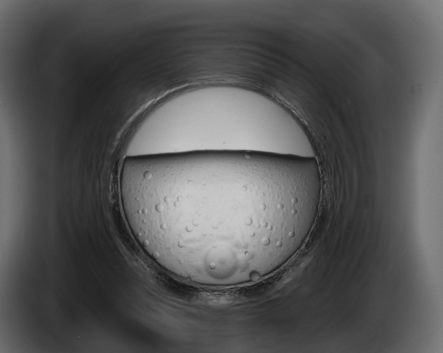 X0000085020351200703050942