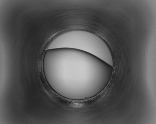 X0000085020352200703050942