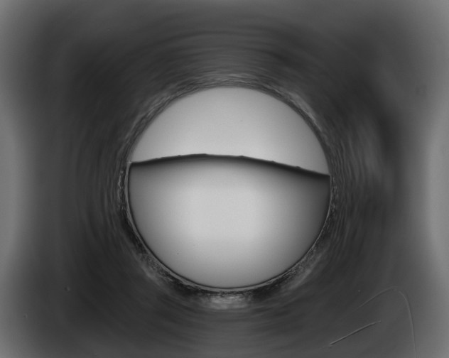 X0000085020357200703050942