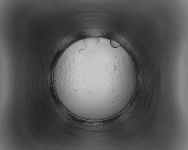 X0000085020359200703050942