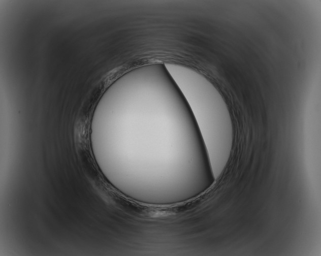 X0000085020360200703050942