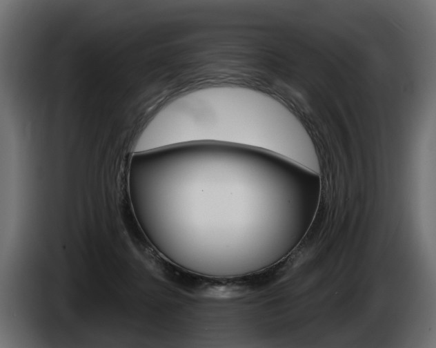 X0000085020364200703050942