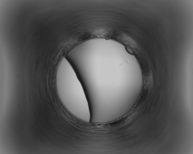 X0000085020365200703050942