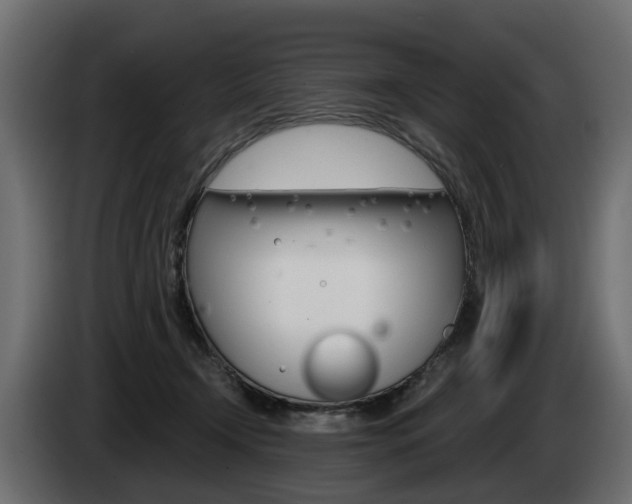X0000085020366200703050942
