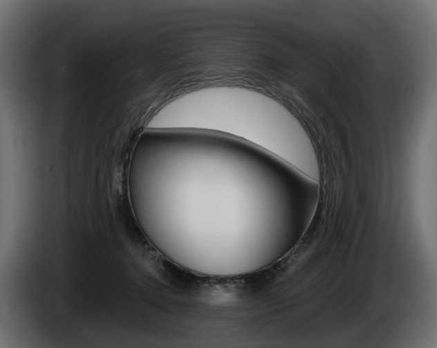 X0000085020368200703050942