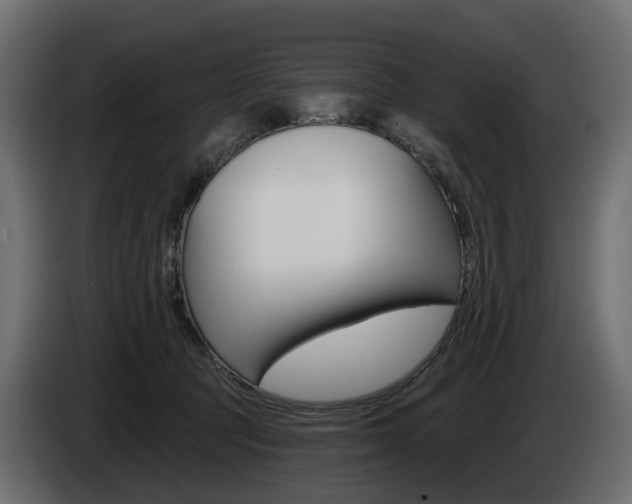X0000085020369200703050943