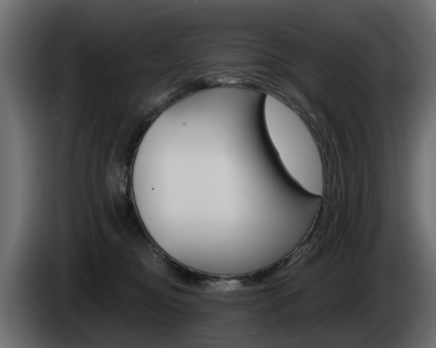 X0000085020374200703050943