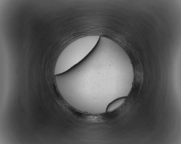 X0000085020375200703050943