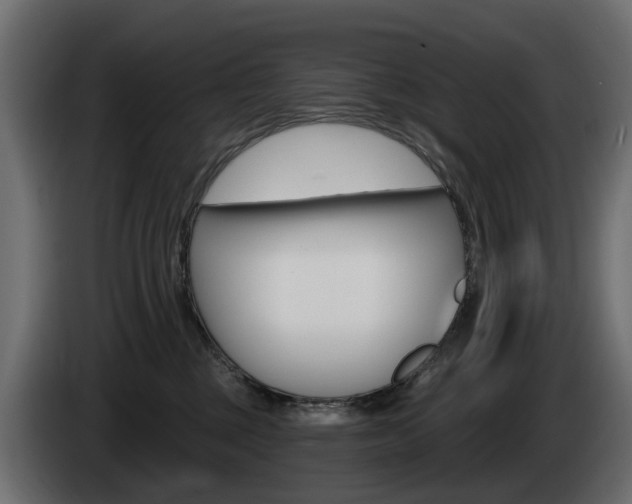 X0000085020377200703050943