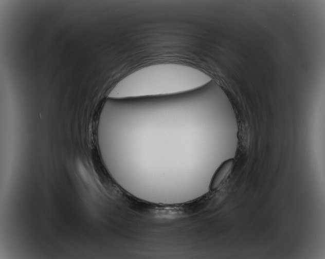 X0000085020378200703050943
