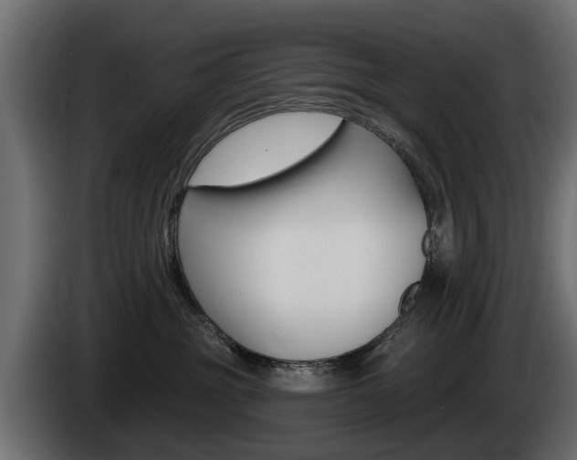 X0000085020381200703050943
