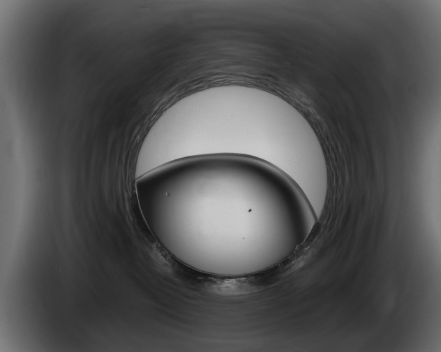 X0000085020382200703050943
