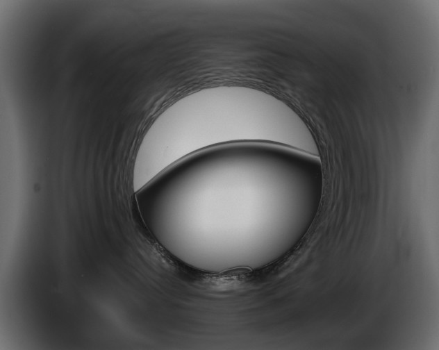 X0000085020384200703050943