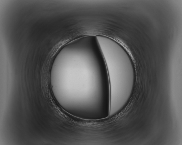 X0000085020385200703050942