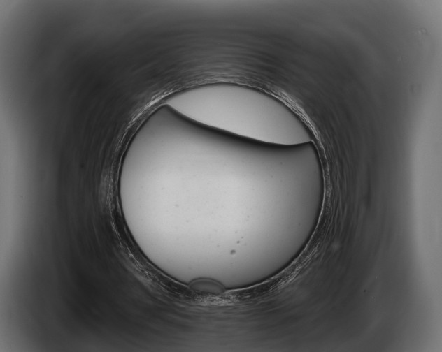 X0000085020386200703050942