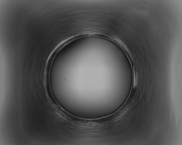 X0000085020387200703050942