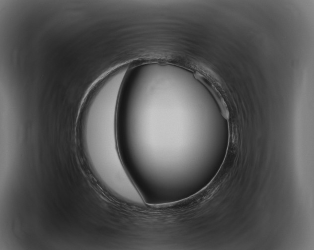 X0000085020388200703050942