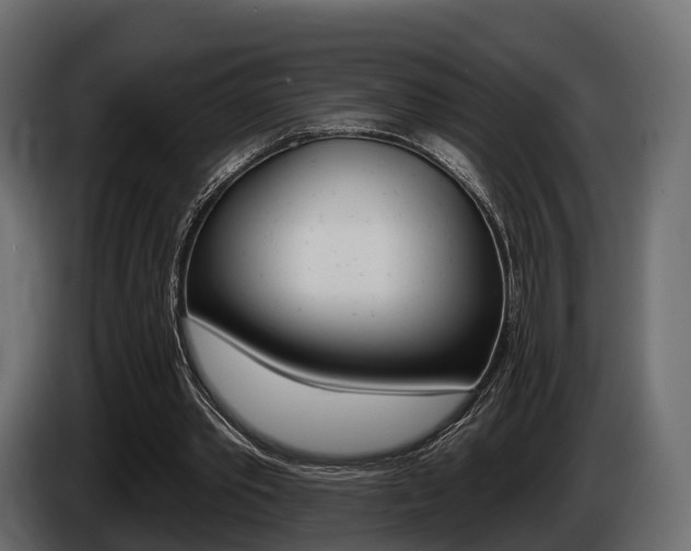 X0000085020389200703050942