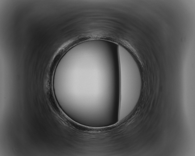 X0000085020392200703050942