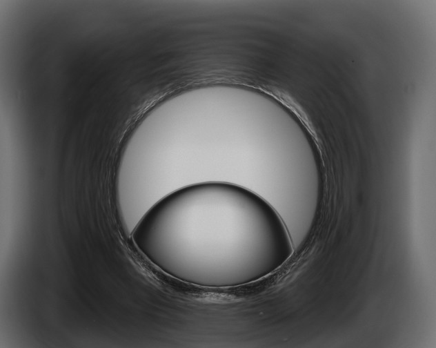 X0000085020393200703050942