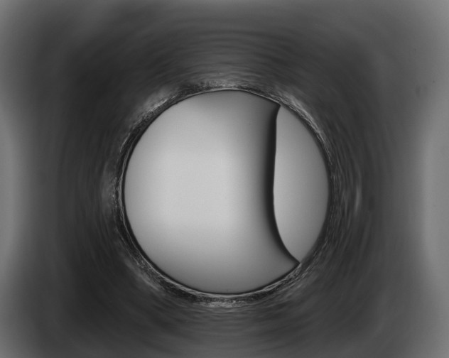 X0000085020394200703050942